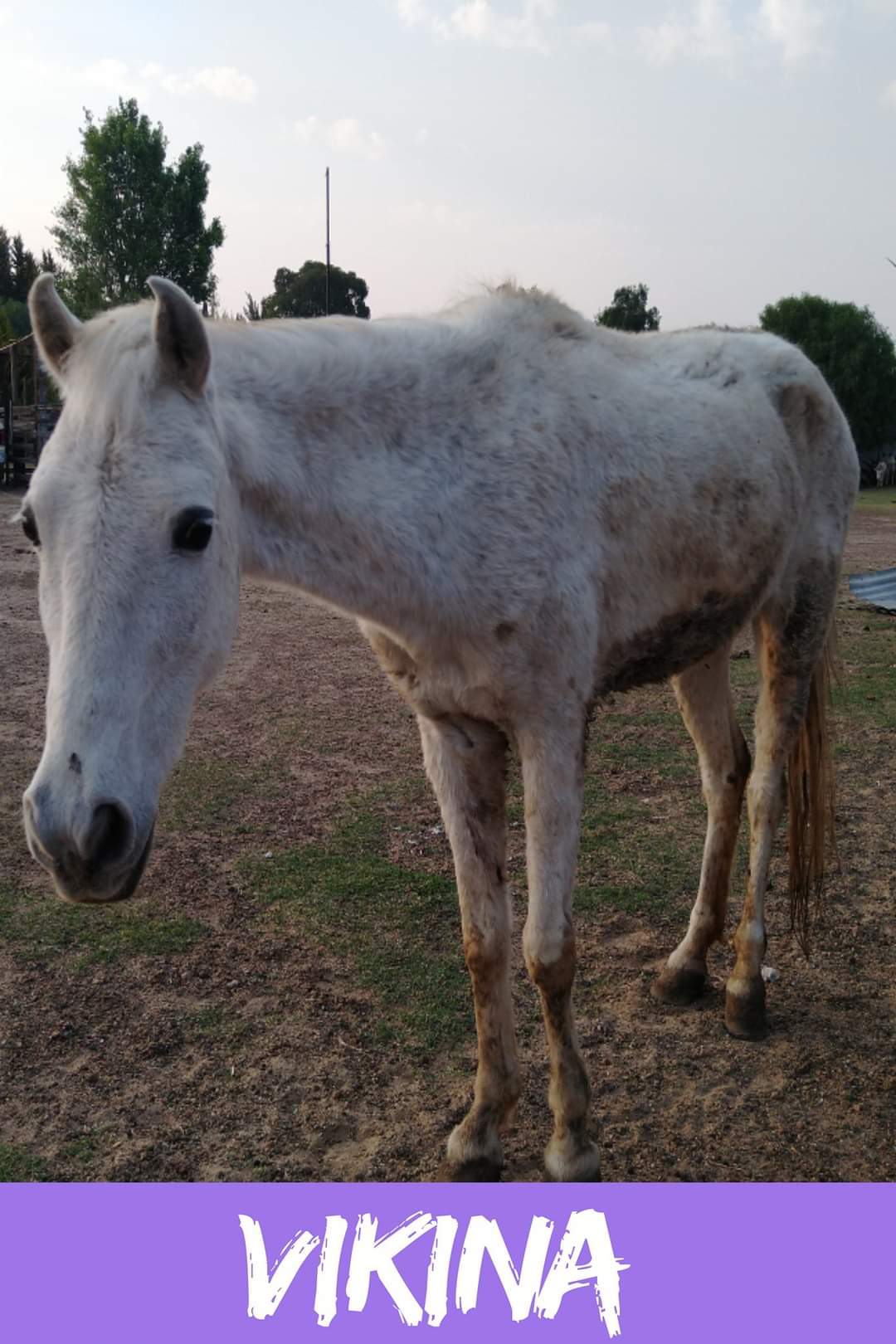 img/donkeys-1/FB_IMG_1696791771715.jpg